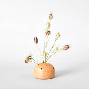 Terra Cotta Frog Vase